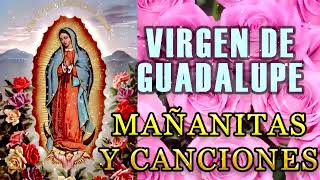 Mañanitas a La Virgen de Guadalupe 2023