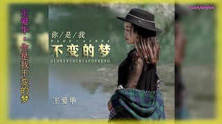 【你是我不变的梦】演唱 :王爱华