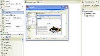 Delphi Programming Tutorial #28 - Using Adobe Flash Animations within Delphi