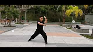 工字伏虎拳 Gung Gee Fook Fu Kuen 8-2-2022