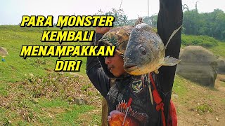 SEKIAN LAMA TIDAK MUNCUL, AKHIRNYA PARA MONSTER MUNCUL KEMBALI !!!