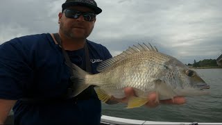 Pulling kilo bream off structure (Botany Bay)