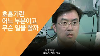 호흡기란 어느 부분이고 무슨 일을 할까 - (2009.12.3_313회 방송)_호흡기 면역력을 높여라!