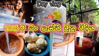 Prep with me for 2025 🎉️ | අලුත් අවුරුද්දට සූදානම💑 | Srilanka sinhala vlog @Harshi_online