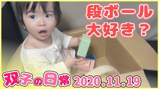 【赤ちゃんと段ボール】双子の日常～１１月１９日（生後１歳３ヵ月）～