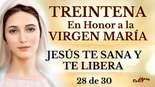 🔴🕊️DÍA 28 - TREINTENA Y SANTO ROSARIO EN HONOR A LA SANTÍSIMA VIRGEN | 🌹JESÚS TE SANA Y TE LIBERA