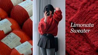 knitting vlog ｜크리스마스 오기 전에 완성하는 🎅🎄리모나타스웨터 Limonata Sweater