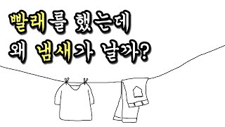 [백튜브] 세탁기 돌렸을 때 빨래에서 냄새 안 나게 하는 법 - 자취생 꿀팁