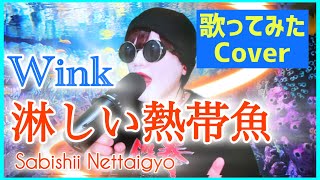 【Wink】Sabishii Nettaigyo 淋しい熱帯魚 歌ってみた(cover) kintaro chocolat