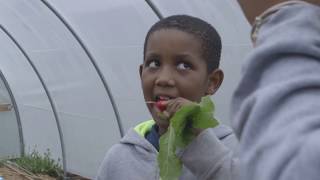 Service Year: The Flint Model