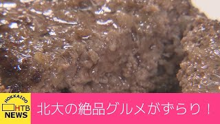 希少牛にこだわりカレー　北大発の絶品グルメフェア