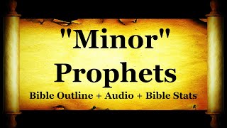 The Holy Bible - All 12 Minor Prophets - Hosea, Joel, Amos, Jonah, Micah, Zechariah, Malachi...