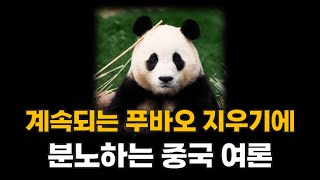 우리 애 좀 찾아주세요 Please help find my Fu Bao 계속되는 푸바오 지우기에분노하는 중국 여론