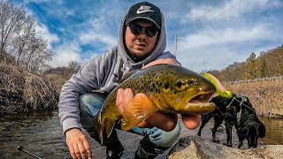 Early spring Trout fishing in Southeast Minnesota! (these fish are incredible)