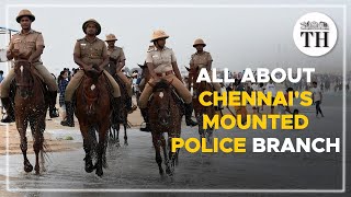 All about Chennai's mounted police branch | The Hindu