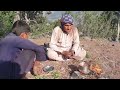 د documentary report of pine forest in hisarak district in nangarhar province afghanistan