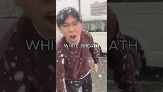 雪が降って凍えそうな日はこれでしょ！#shorts#雪#WHITEBREATH#