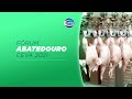 Ceva Poultry Live Stream