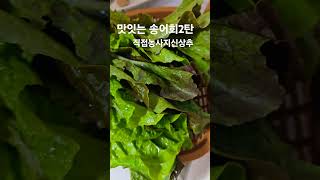 신선한야채가 꼭필요해요#비빔회#Shorts