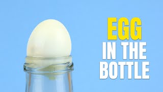 EGG IN BOTTLE TRICK - How To Put an Egg in The Bottle