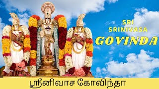 Sri Srinivasa Govinda Sri Venkatesa Govinda | Perumal Songs | Tamil Devotional mp4 songs