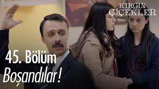 Kemal ve Mesude boşandı! - Kırgın Çiçekler 45. Bölüm