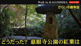 DJI Pocket 2　慈眼寺公園歩き撮り　Walk in Kagoshima おまかせテレビ　Omakase TV