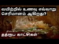 How the Digestive System Works ? | Tamil | Niruban Talks