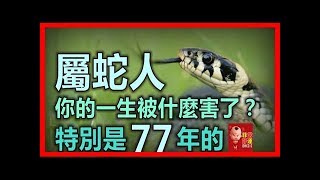 屬蛇人：你的一生被什麼害了？特別是77年的，現在知道還不晚！