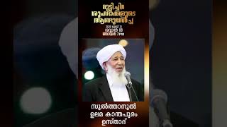 Status video , മുട്ടിച്ചിറ ശുഹദാക്കളുടെ 184-ാം ആണ്ട് നേർച്ച ....2020 മെയ് 31 ഞായർ 7 PM