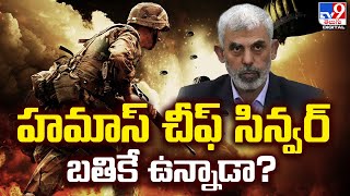 హమాస్ చీఫ్ సిన్వర్ బతికే ఉన్నాడా? | Yahya Sinwar - TV9