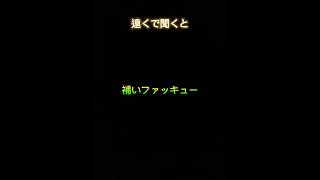 これにしか聞こえない。空耳#人マニア#空耳#これにしか聞こえない#それにしか聞こえない#shorts