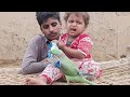 Entertainment Cute Baby With Raw Parrots || 11 November 2024 || Anwar Shah Ustrana Official