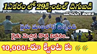 1ఎకరం లో 29 క్వింటల్ దిగుబడి రైతు మెచ్చిన కొత్త Seed SUCCESSFUL STORY OF A FARMER IN@tg.informed