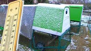 Avis Sur Le Poulailler Eglu Cube Omlet La Maison Des Filles