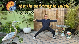The Yin and Yang in Taichi