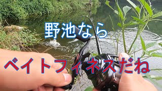 野池バス釣りをベイトフィネス１本で釣っていく