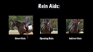 Rein Aids Part 2: Direct, Indirect, and Opening Rein Aids