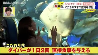 9月12日放送　検証！なぜ人気？日本最古の水族館