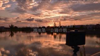 ２０１６年１０月２３日鴻池第一公園の朝