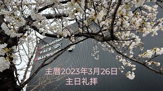 主暦2023年3月26日　マラナサ・グレイス・フェローシップ（MGF）　　 主日礼拝式　　連続講解説教　雅歌２：１２