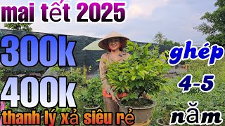 [04/11/2024]📲0392974927(TUYỀN)🌈mai tết 2025 cúc thọ hương ,cúc vạn thọ ghép 3 năm liền cốt giá rẻ