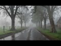 gentle rain sounds for deep sleep peaceful nature ambience to relax your mind u0026 reduce stress