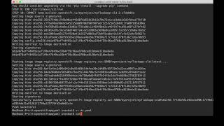 OpenShift ConfigMap & Secret