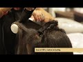 bio organic belma kosmetik step by step cabello afro