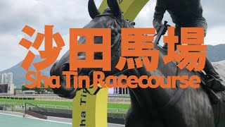 香港賽馬導賞遊：沙田馬場