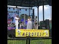 Afrofest Toronto   2019 Day 2