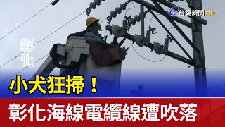 小犬狂掃！彰化海線電纜線遭吹落 險象環生