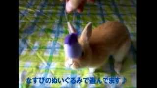 第140回 うさぎのおめめ part1（2012.8.30）