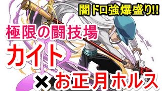 【パズドラ】極限の闘技場 カイト×お正月ホルス【カーリー＆ピィワンパン】